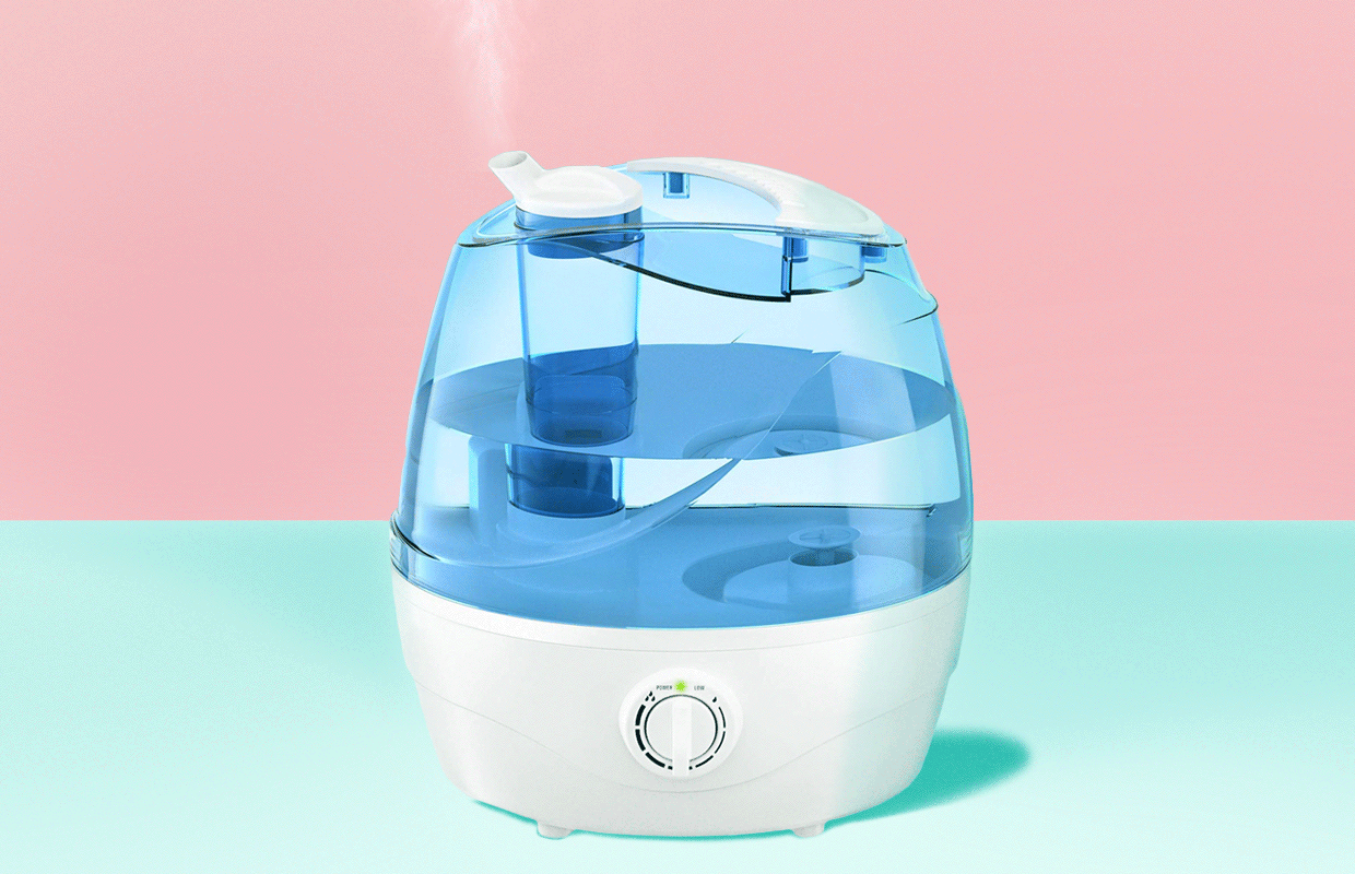 Six Benefits of Using a Humidifier in Winter Renée Rouleau