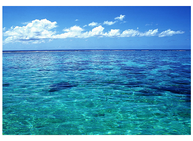 Is Salt Water Good For Your Skin? Seawater Might Surprise You! Renée