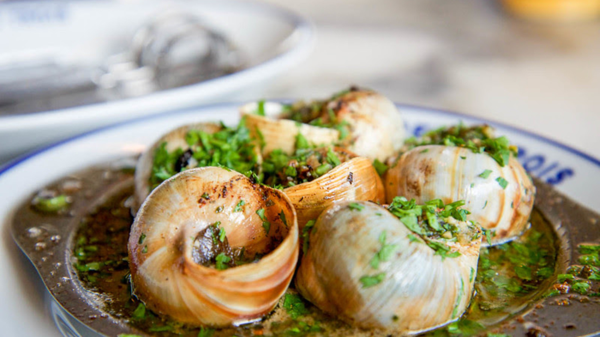 Where to Eat in the San Fernando Valley — Resy Right This Way