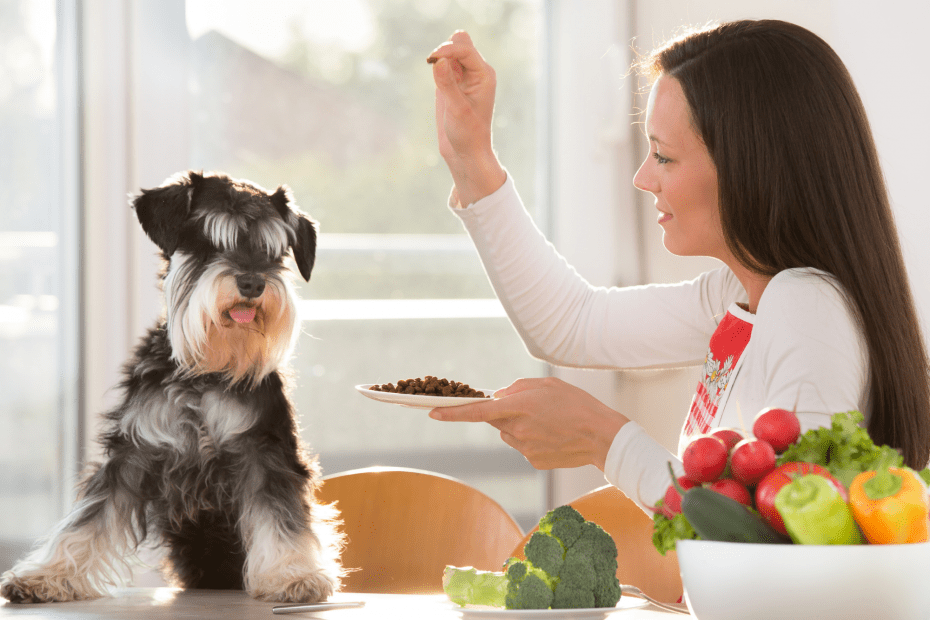 Should Your Dog Be On A Raw Food Diet? We Break It Down Romingo