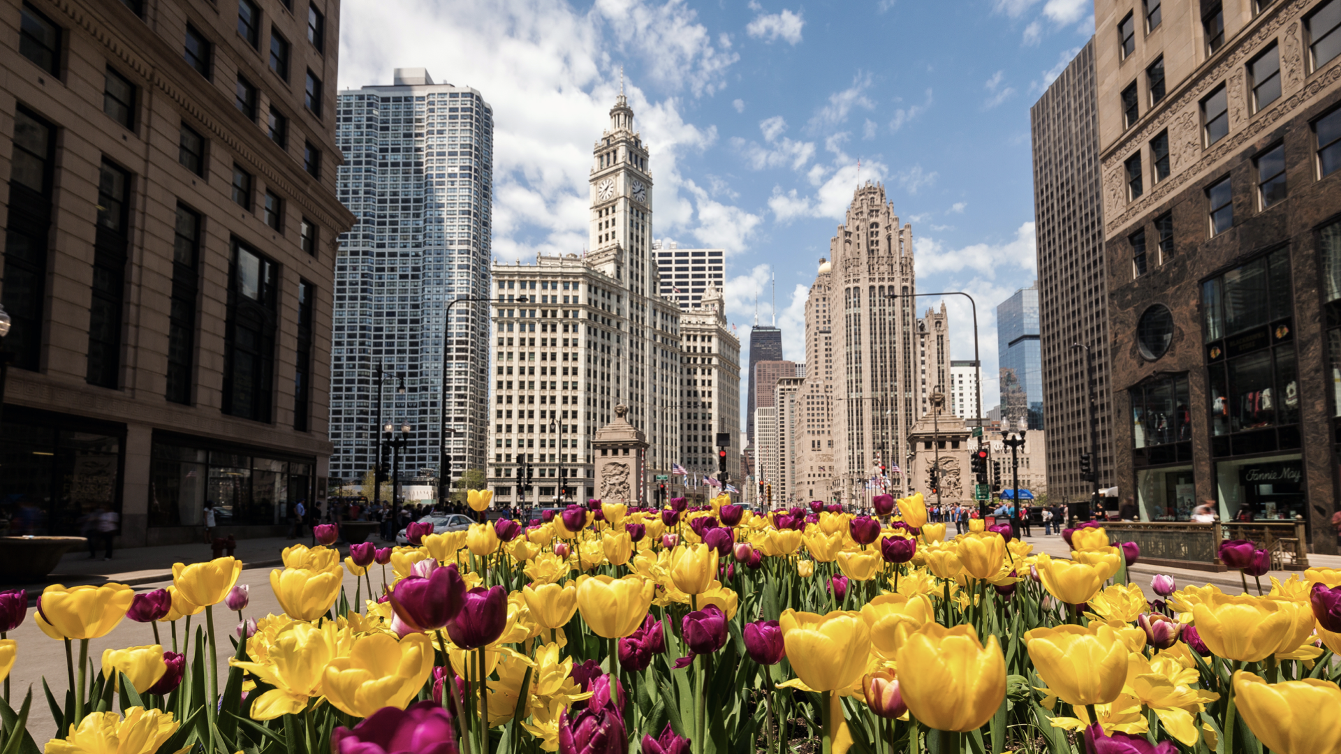 Chicago in Spring