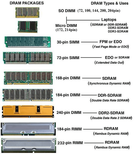 Memory Card What’s the difference between ROM and RAM? Router Switch