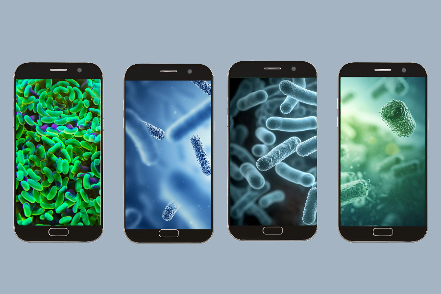 Yes. There are nasty germs on your phone. Roper St. Francis