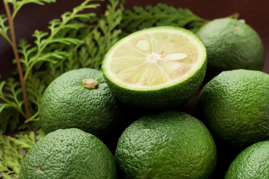 Sudachi and Four More Amazing Foods from Tokushima! - Sakuraco