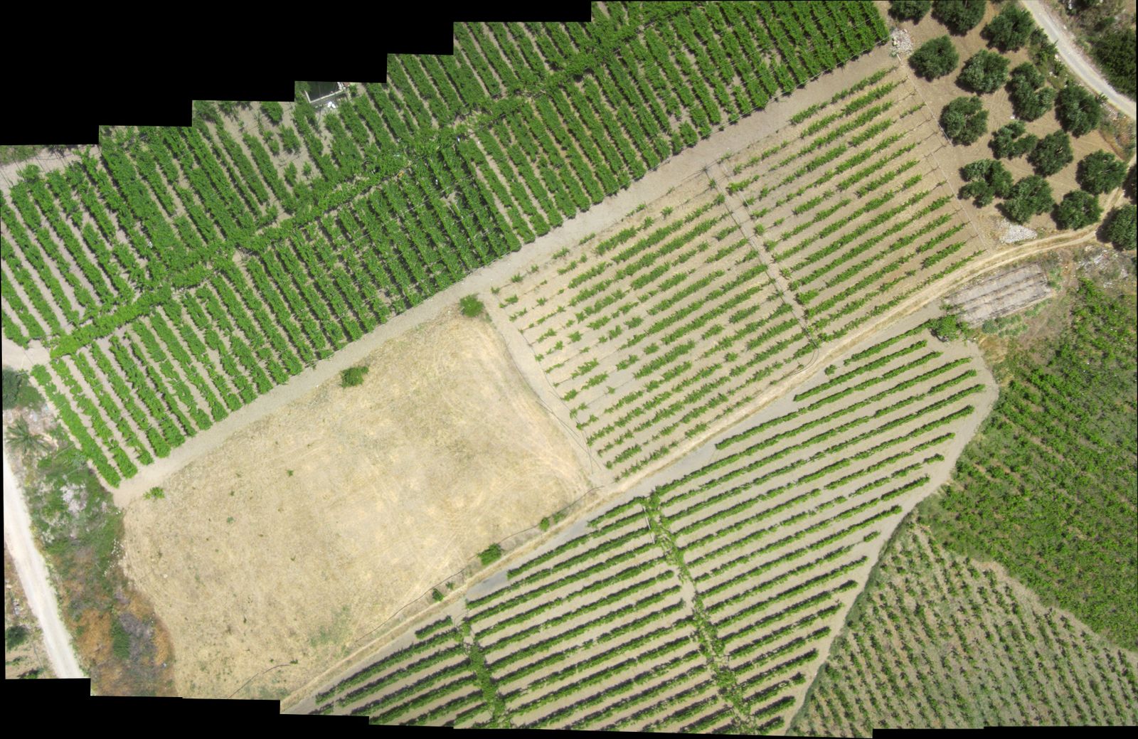 Quick Photo Stitching by using only 7 aerial photos of vineyards