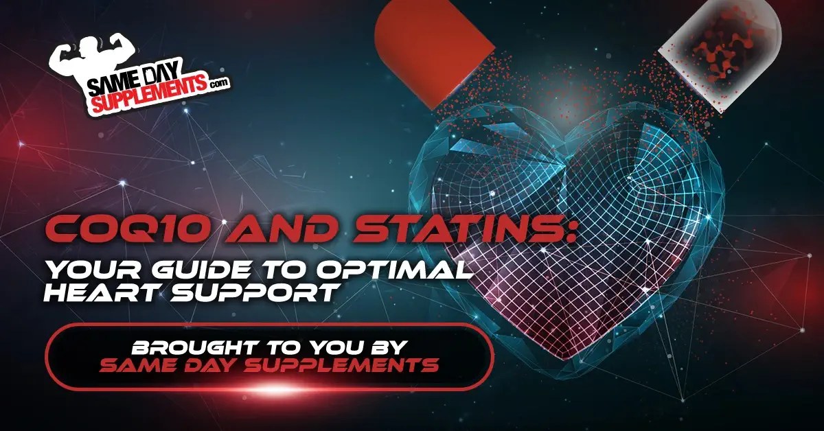 CoQ10 and Statins Your Guide to Optimal Heart Support Supplement