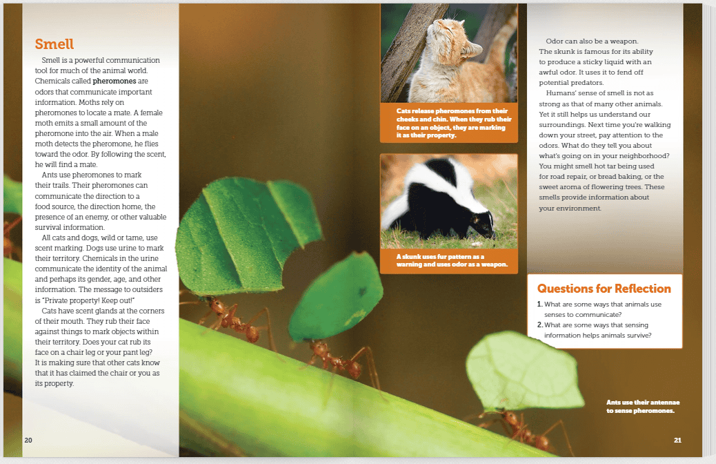 FOSSScienceResourcesReadingsexampleforOctoberBlog Schoolyard Blog