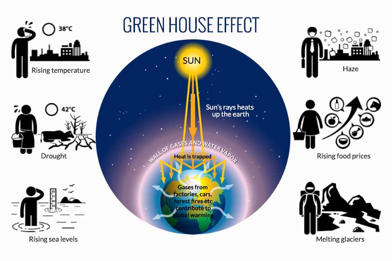 What is the green house effect