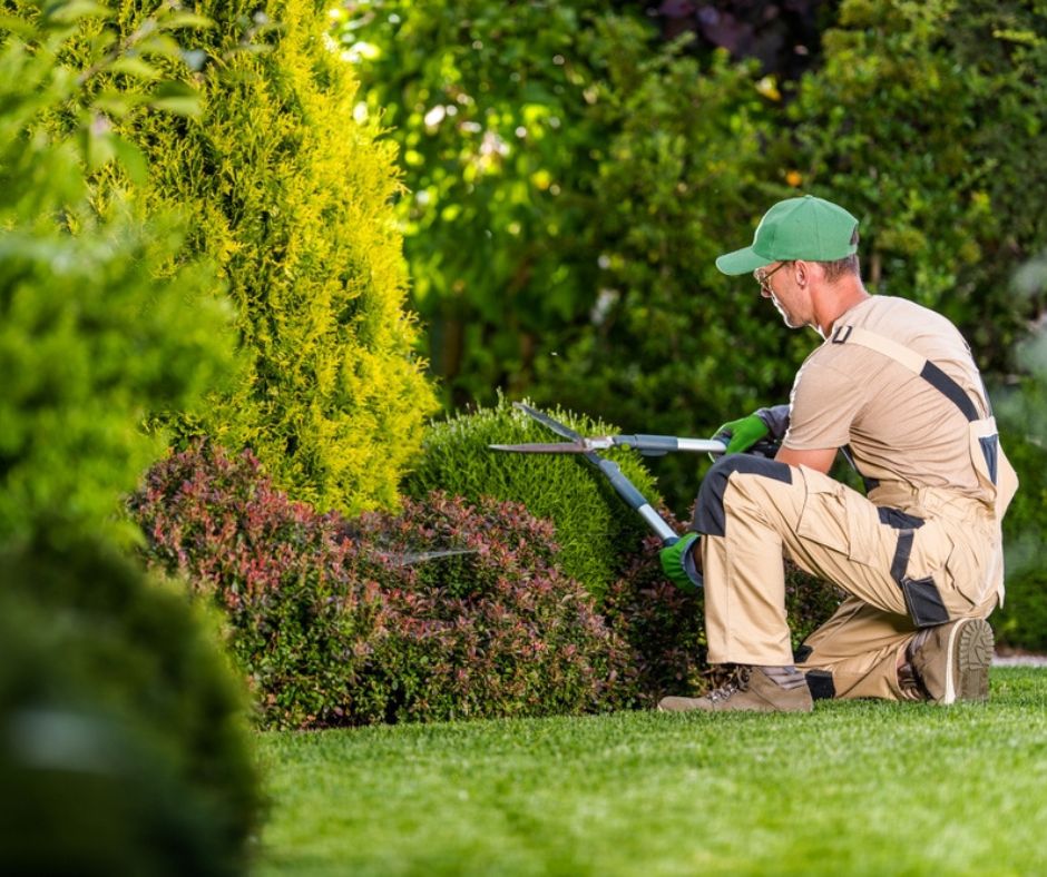How Much Do Landscapers Make? » Stratford Career Institute Blog