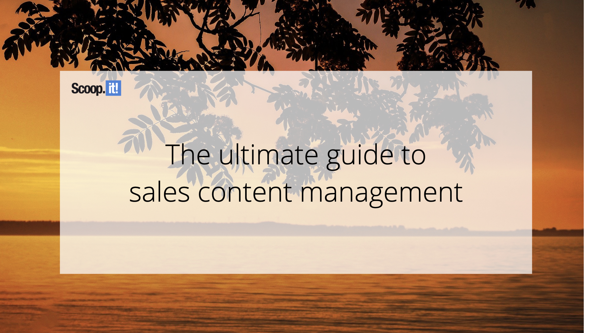 The Ultimate Guide to Sales Content Management Marketing.ca