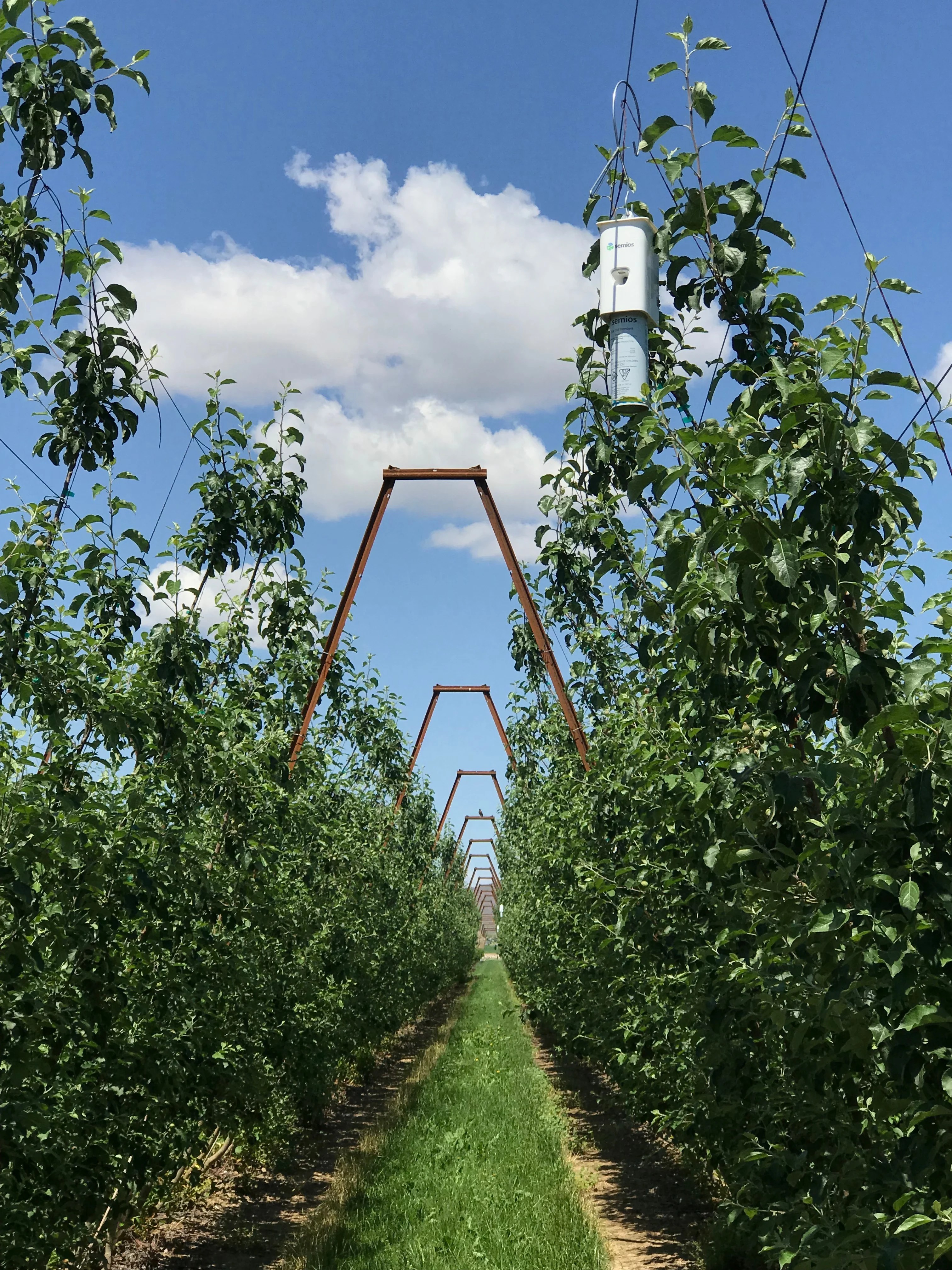 The Benefits of InCanopy Weather Stations in Washington