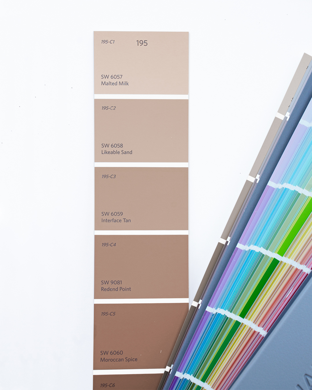 What’s in a Color? Understanding Paint Undertones Tinted