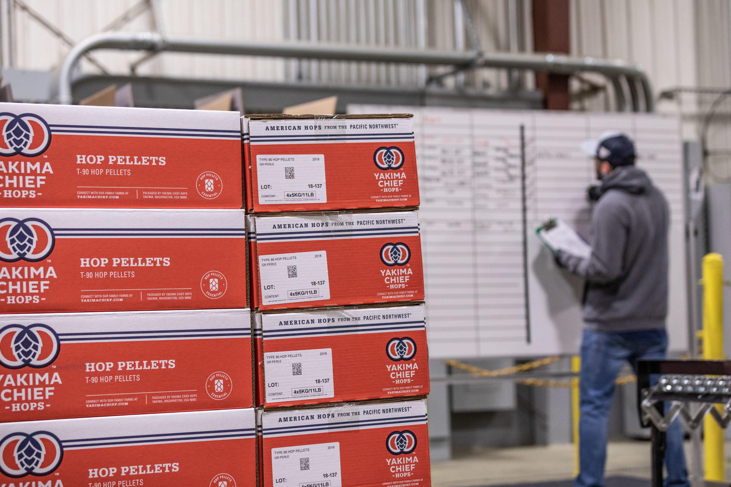 Yakima Chief Hops Exploring the Essence of Craft Beer