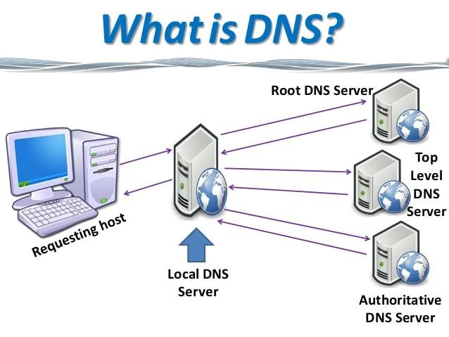  Meaning of DNS