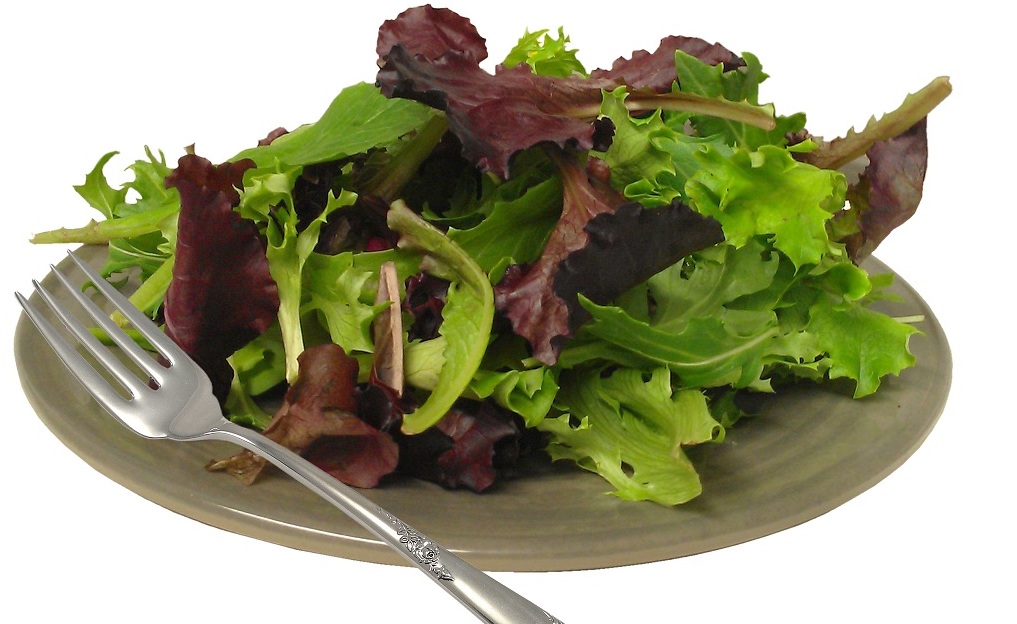 Top Health Benefits of Salad Spring Mix Sigona's Farmers Market