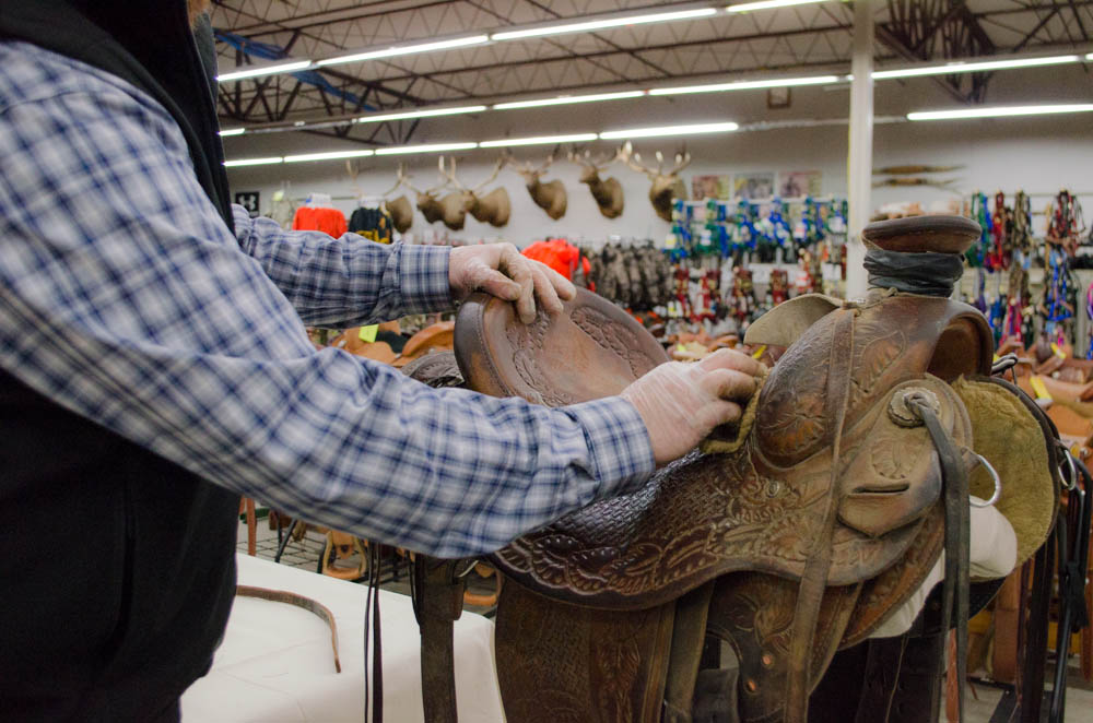 How to Clean a Western Saddle What We