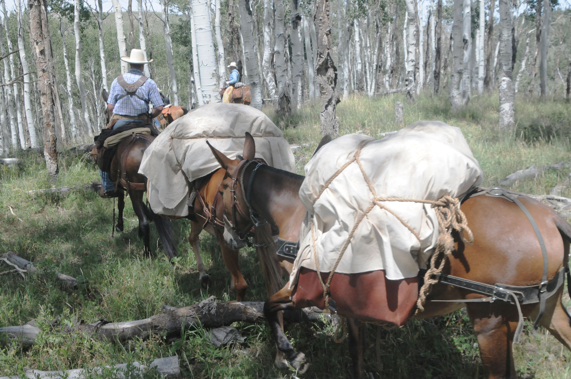 How to tie a Double Diamond Knot and Horse Packing Q&A Smith and