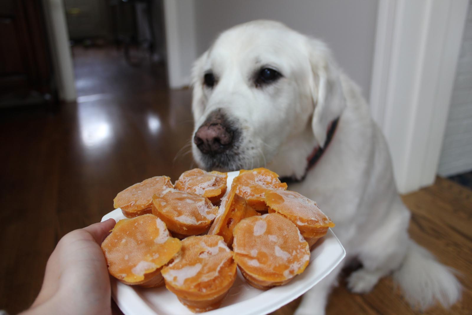 Pumpkin Banana Dog Treats