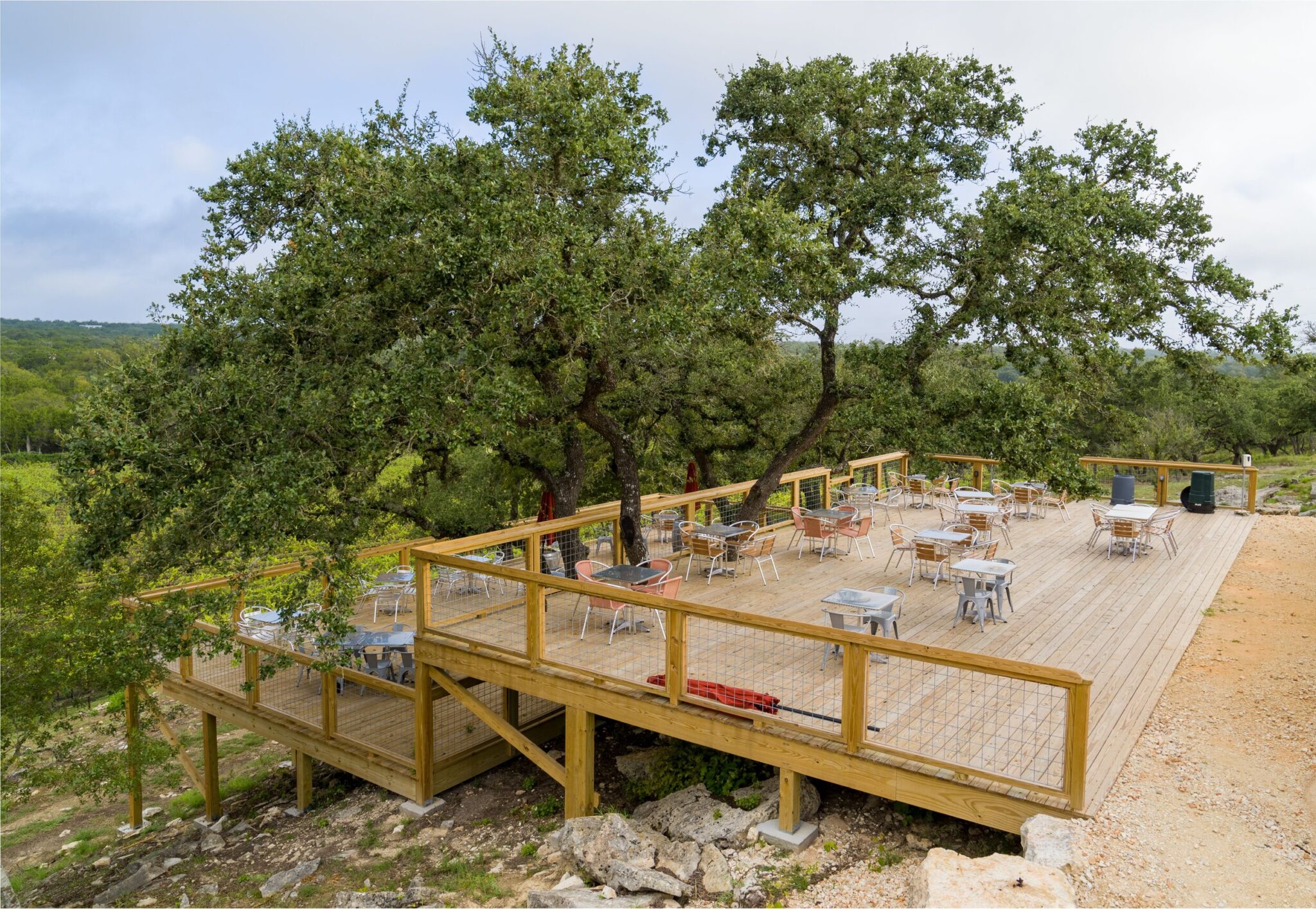 Limestone Terrace Vineyard Revives And Thrives In The Texas Hill