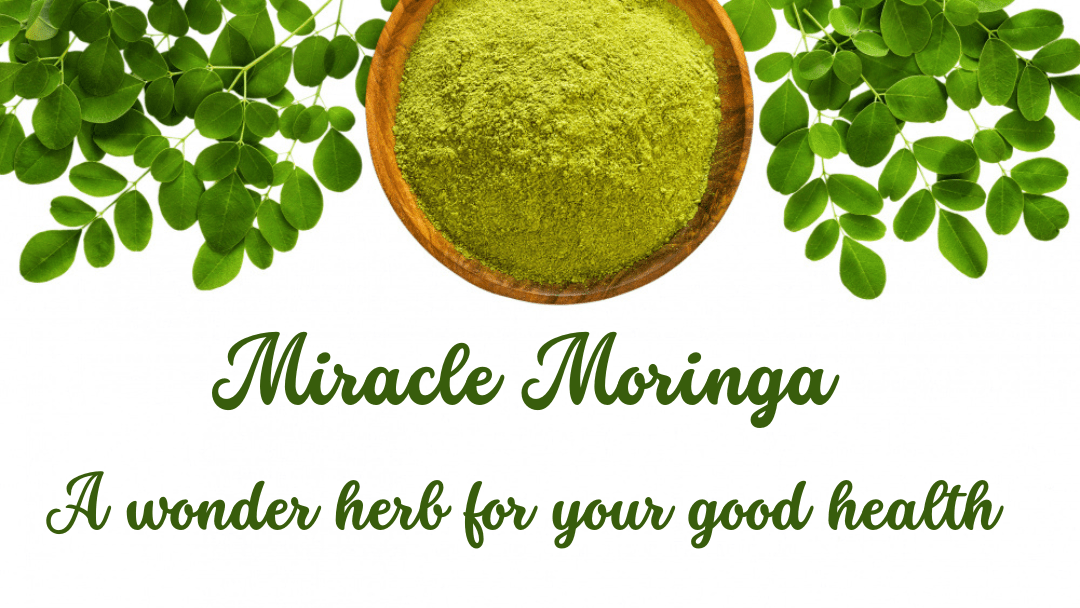 Moringa Leaf Powder Health Benefits, Usage, and Preparation Soonya Blog