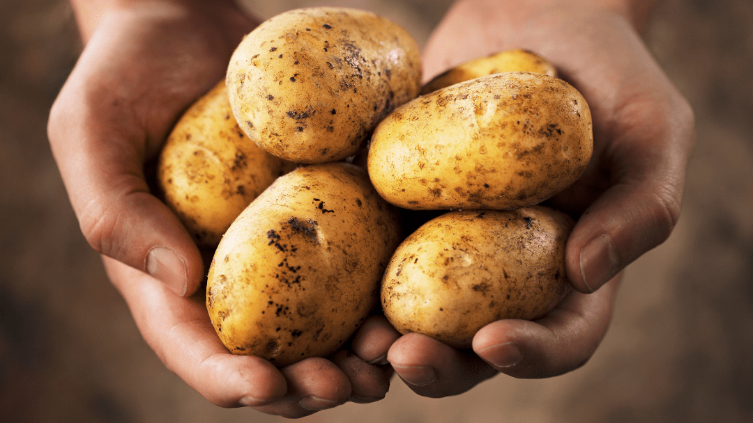 Ultimate Guide On Indian Potatoes Types, Nutrition, Benefits, and