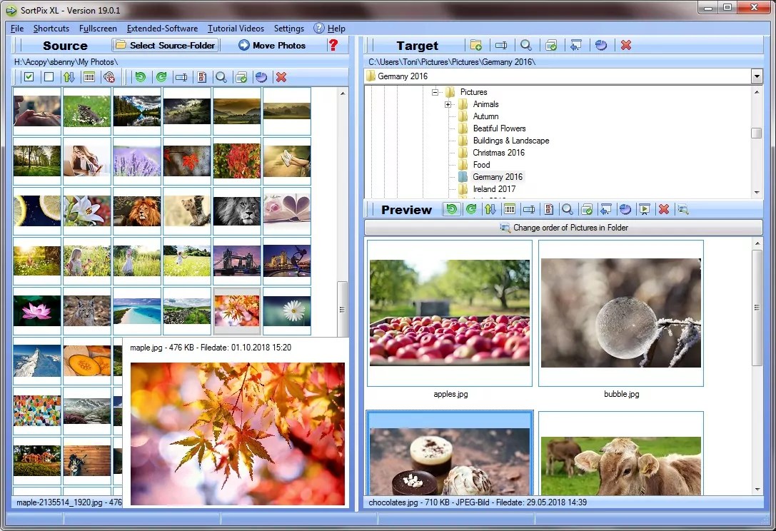 Photo manager software for amateurs and professionals in photography