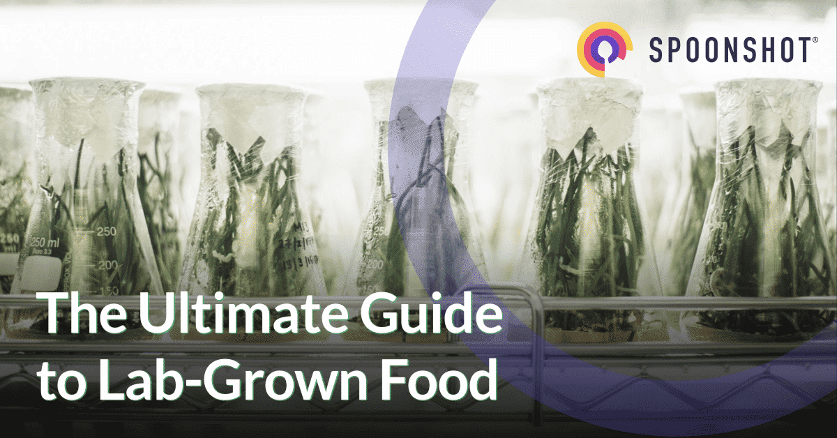 Guide on LabGrown Foods Dairy, LabGrown Meat, Coffee Spoonshot