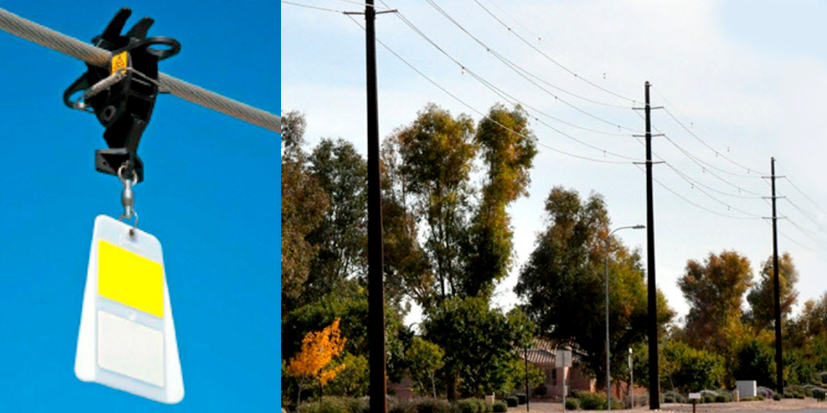 Bird flight diverters help birds avoid power lines and keeps the lights on