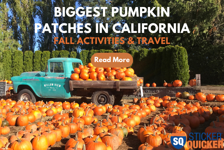 Biggest Pumpkin Patches in California Fall Activities & Travel