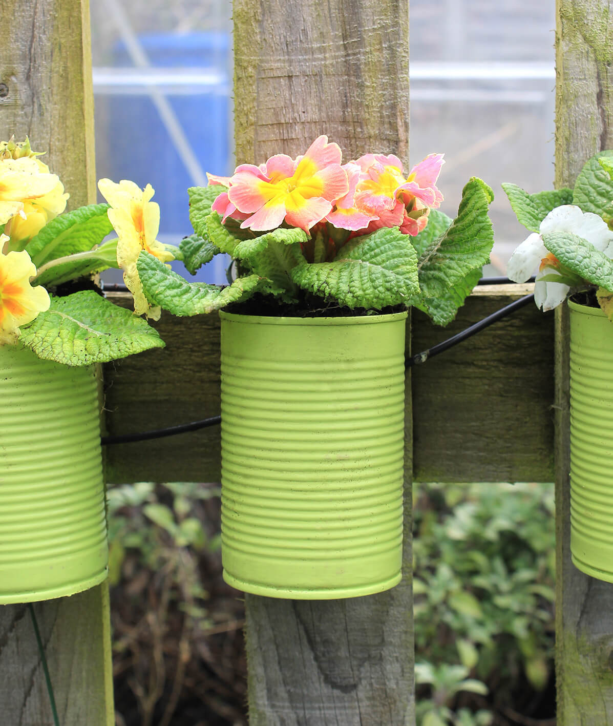 How To Make Your Own Tin Plant Pots STIHL Blog