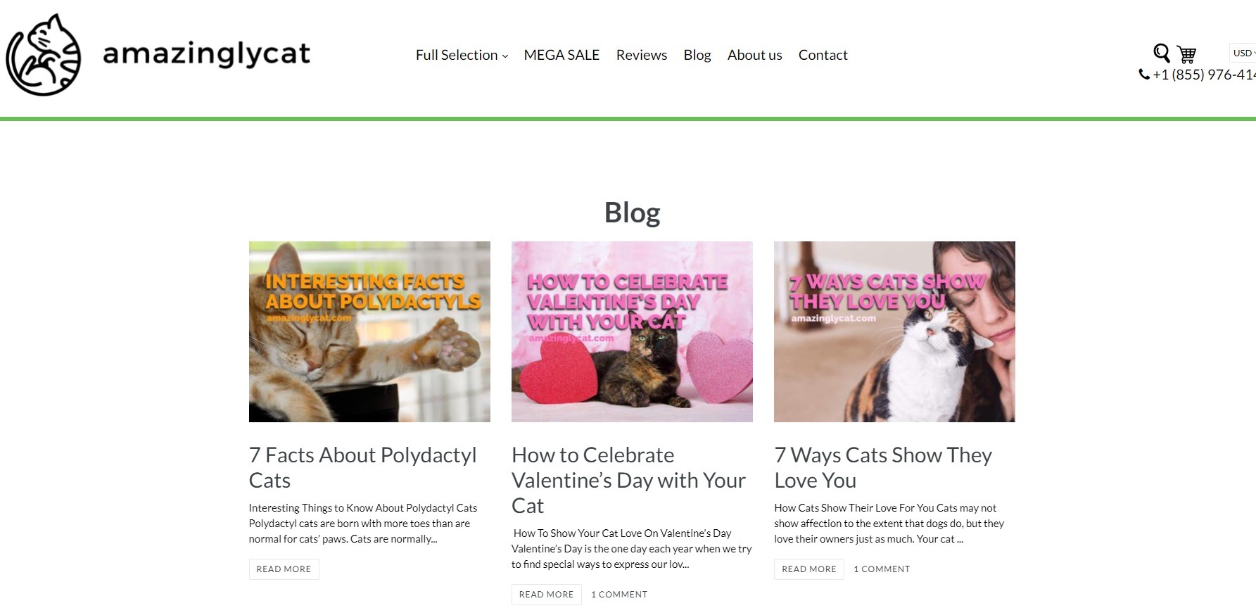 Grow Your Online Pet Supplies Business in 6 Quick Steps [+ Examples]