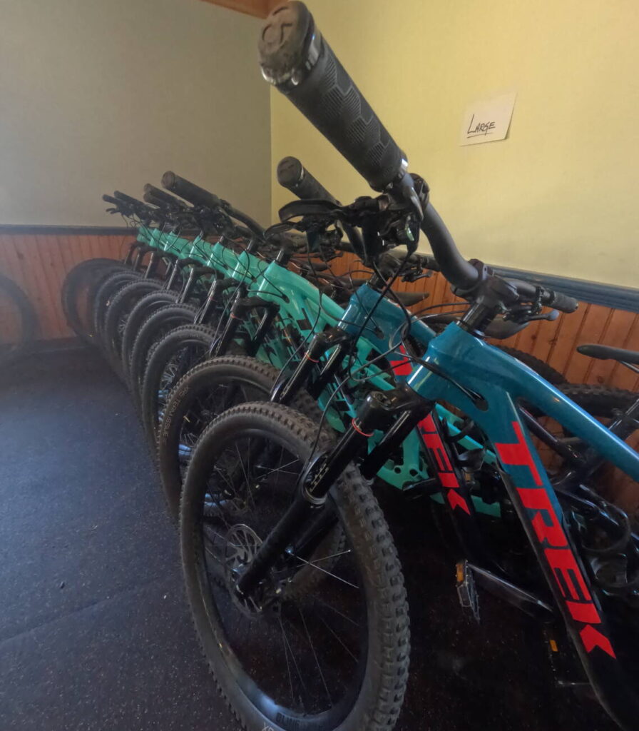 Employee Community Tune Talk With Tone At The Stratton Bike Park