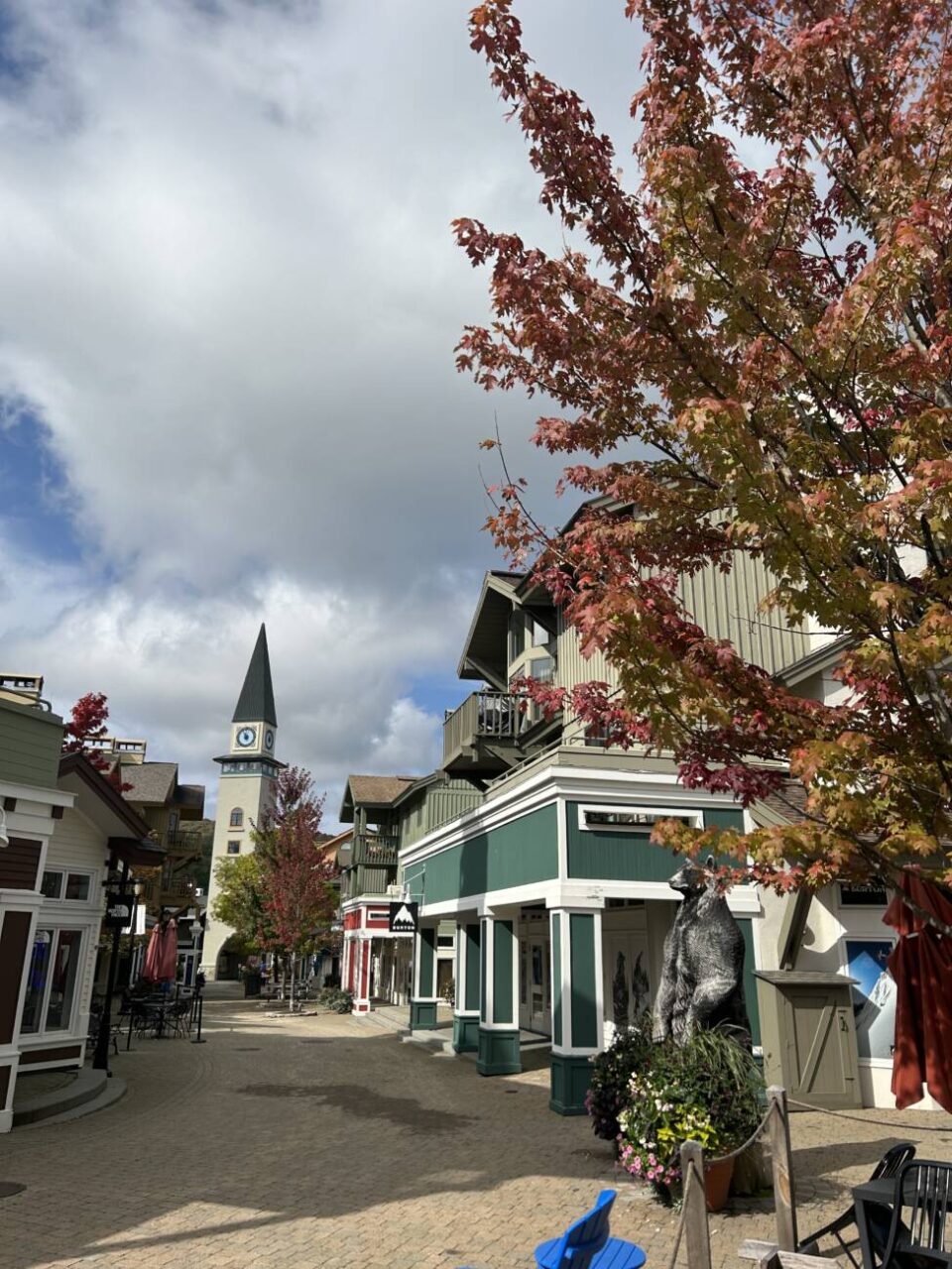 Fall Foliage Tracker At Stratton Mountain STRATTON MOUNTAIN BLOG