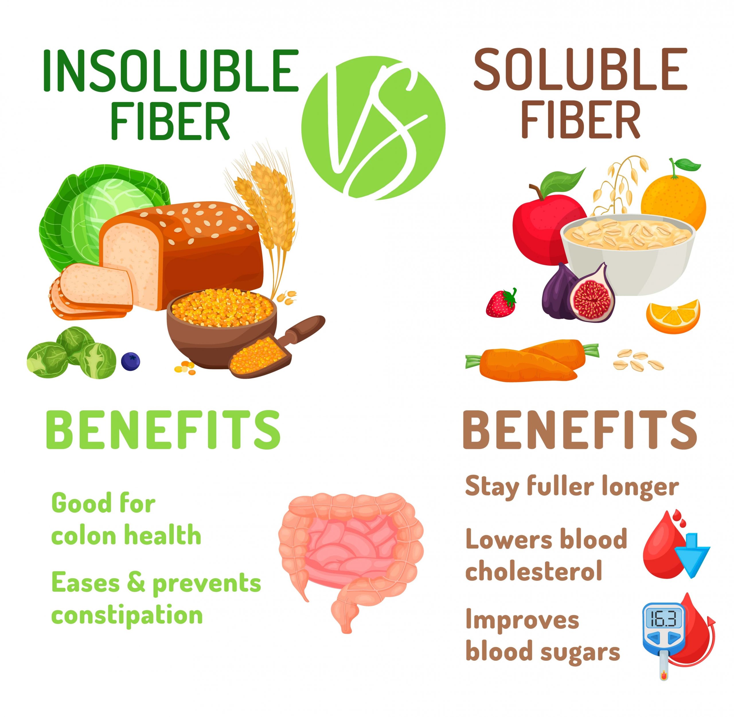 Resistant Starch vs Fiber What’s the Difference? Supergut Blog