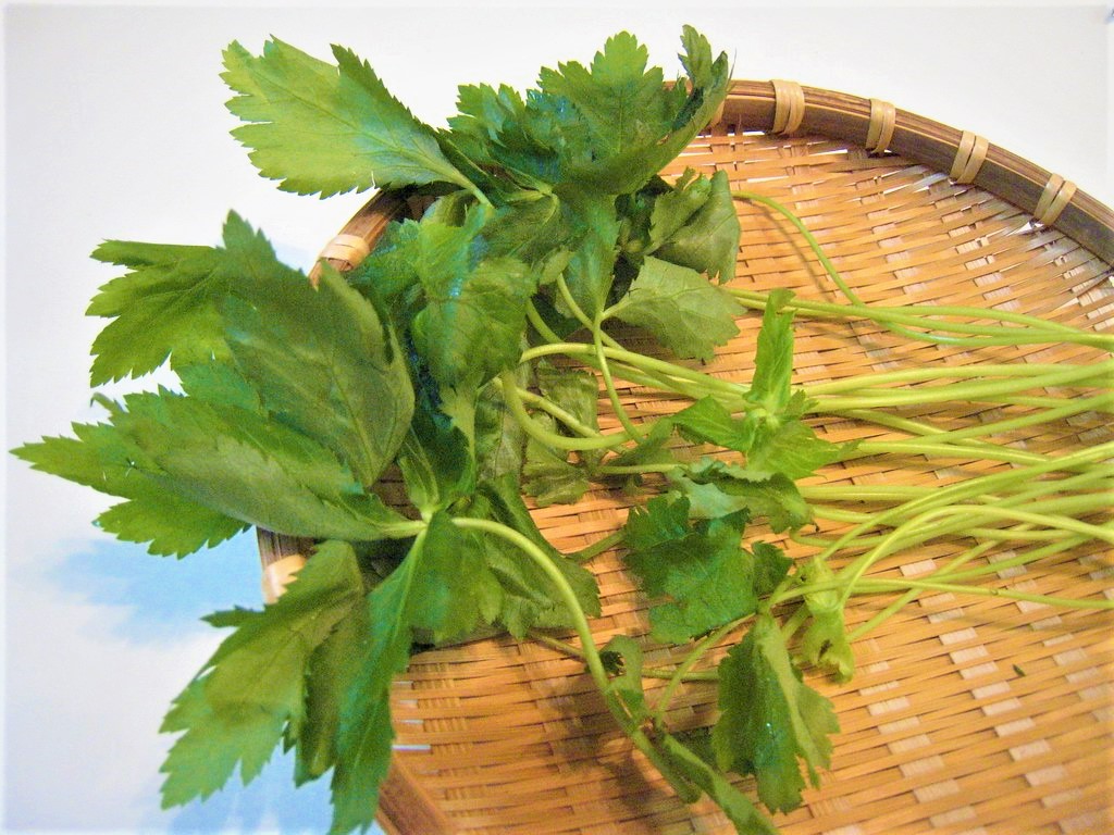 Mitsuba The Japanese Parsley Recette Magazine