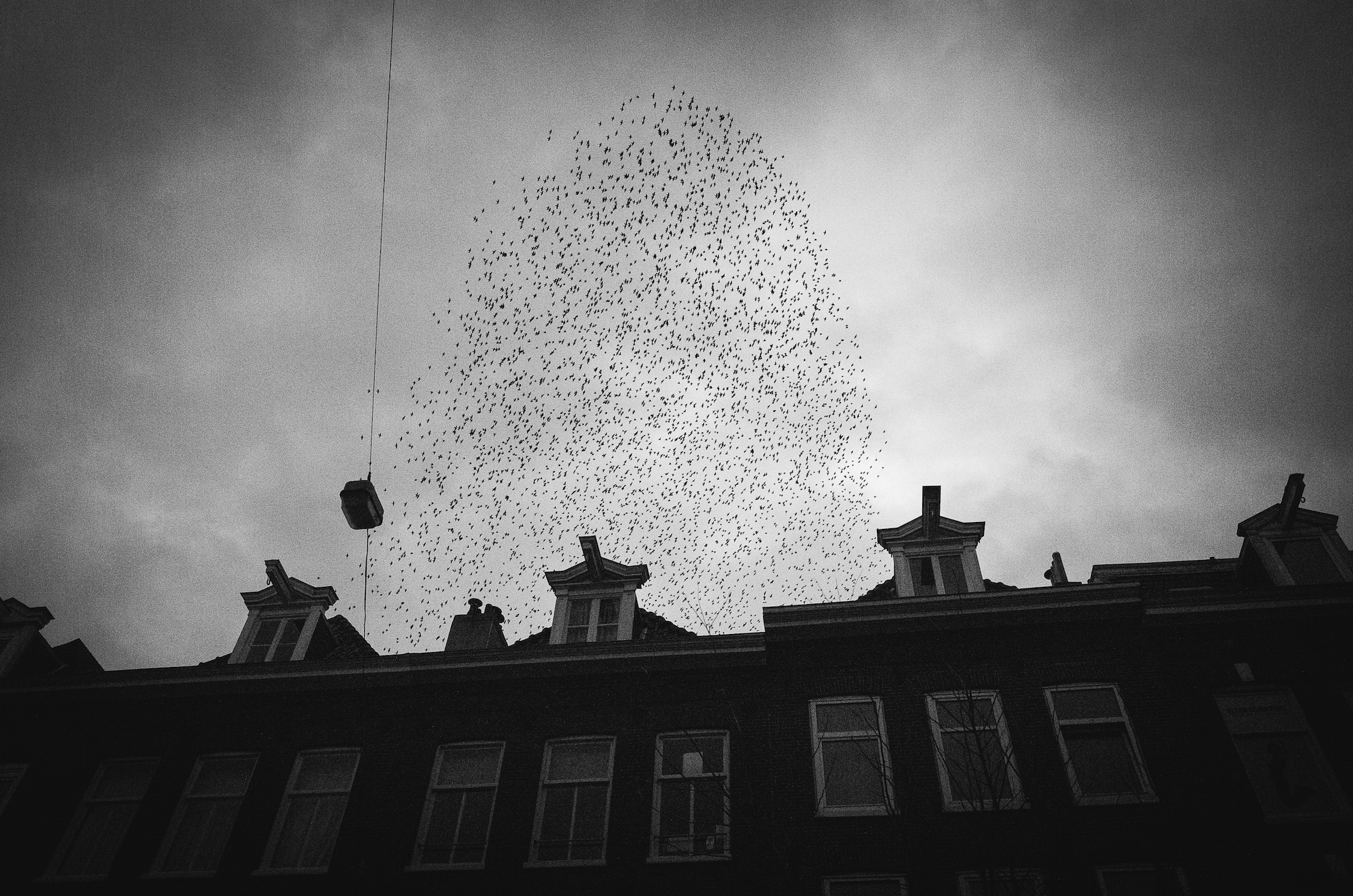 “Nothing happens when you sit at home… “