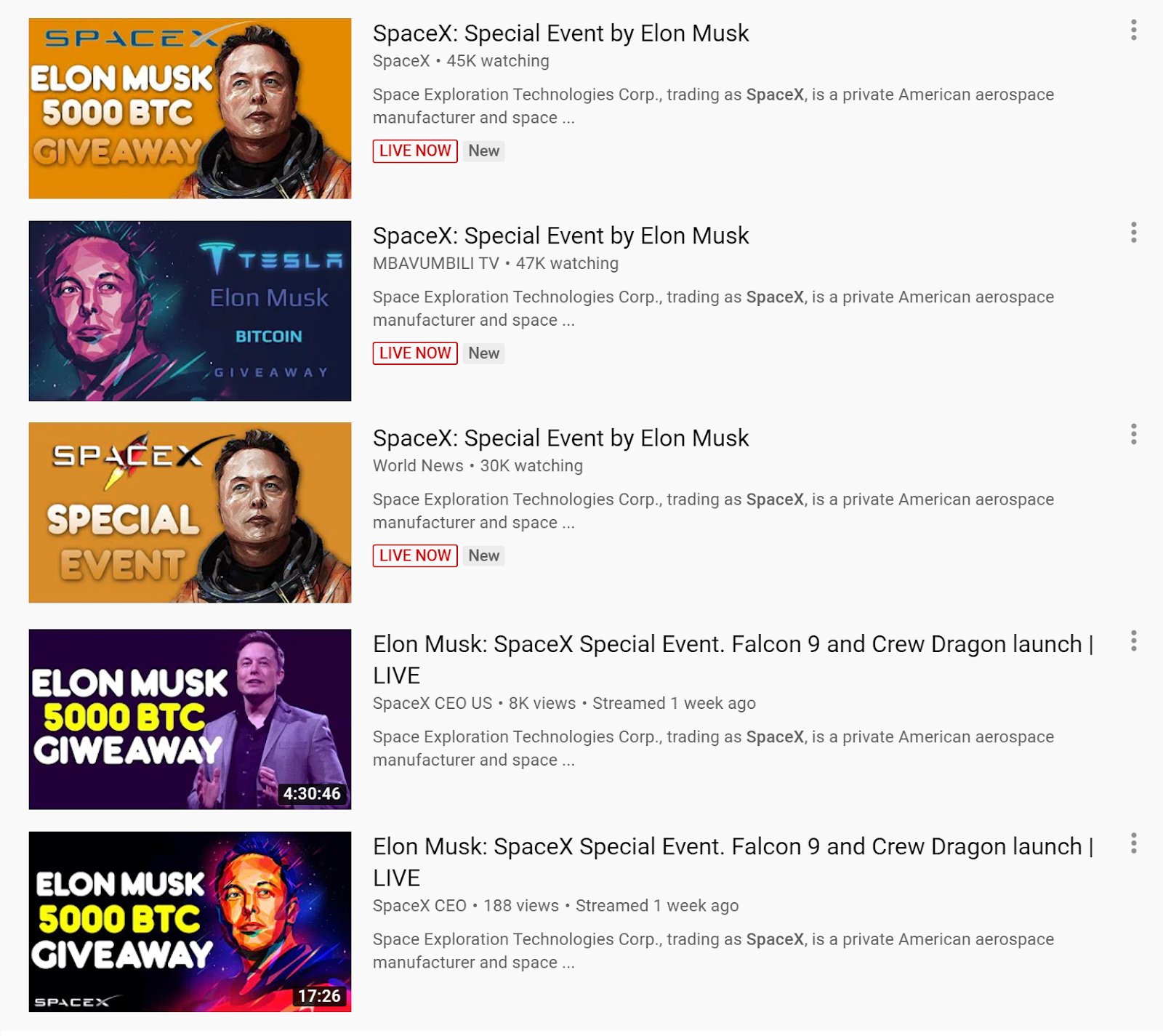 SpaceX Bitcoin Giveaway?