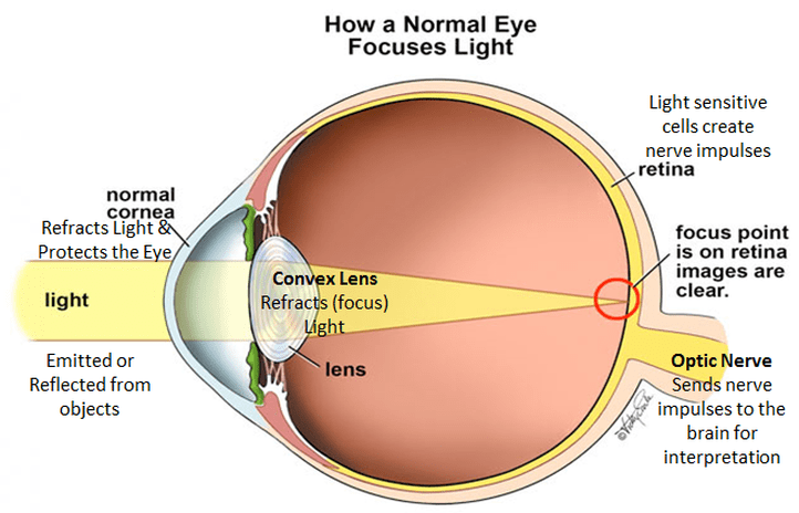how normal eyesfocus lights Healthtips by TeleMe