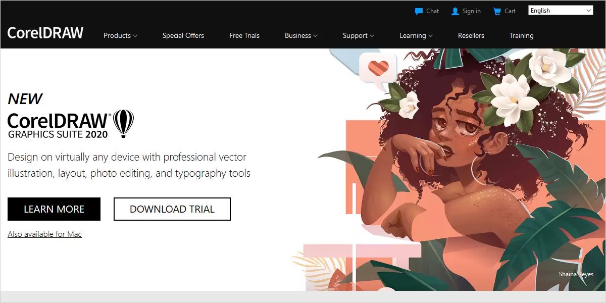 Top 4 adobe illustrator vs coreldraw you need to know Top 10 Global
