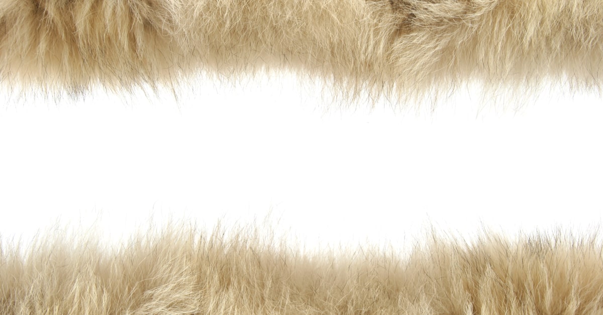 What Is Lambskin Leather The Jacket Maker Blog