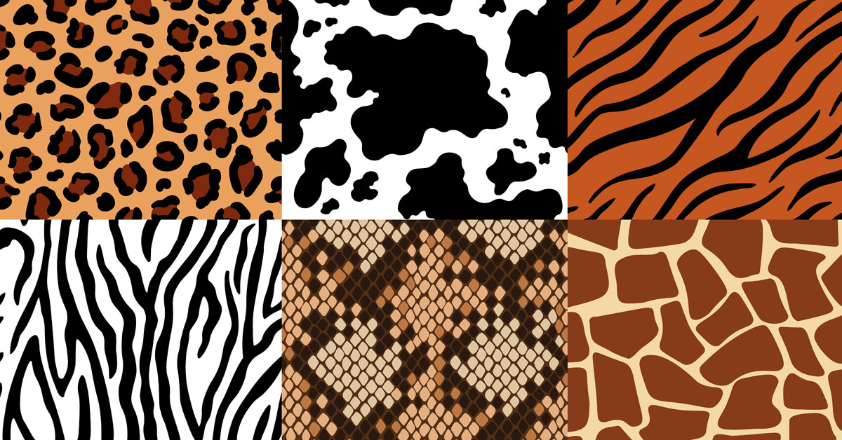 What is Exotic Leather? Limited & OneOfAKind Leather The Jacket