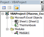 Screenshot of where module can be found for vba