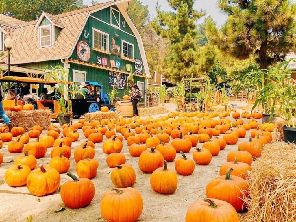 10 MustDo Activities for October, Courtesy of RecSpot BLOG