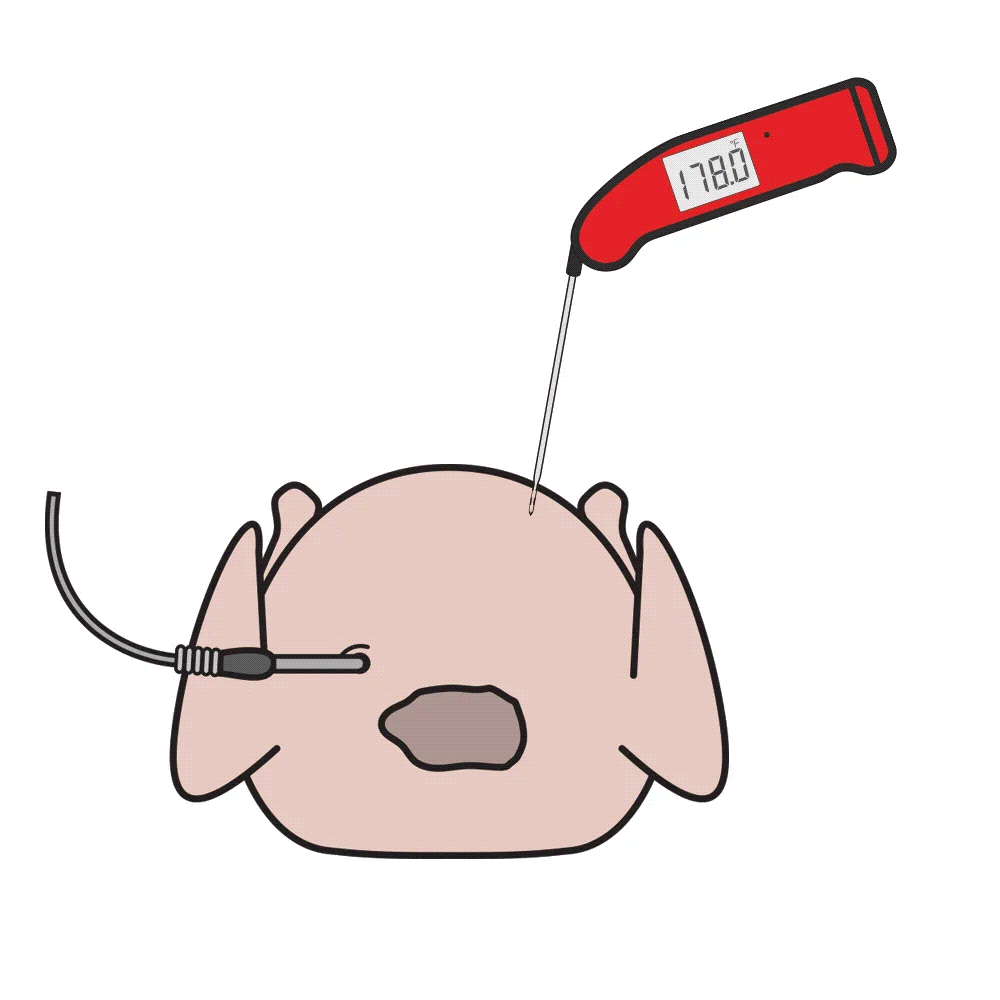 Verifying Your Turkey Temperatures Blog ThermoWorks