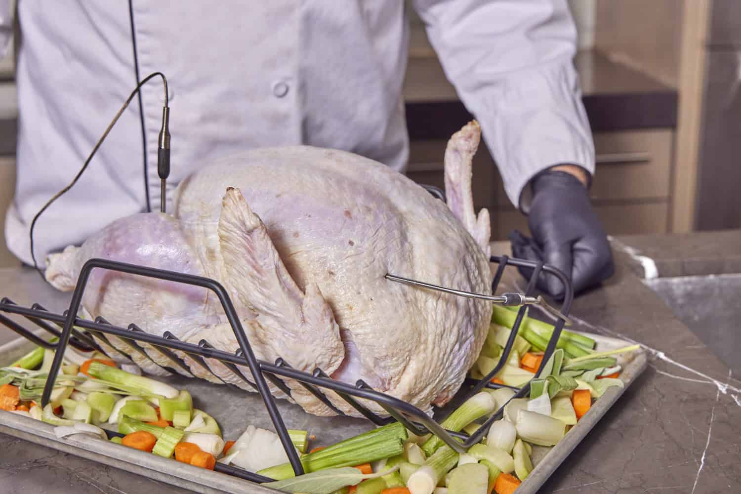 Proper Thermometer Probe Placement in Turkeys