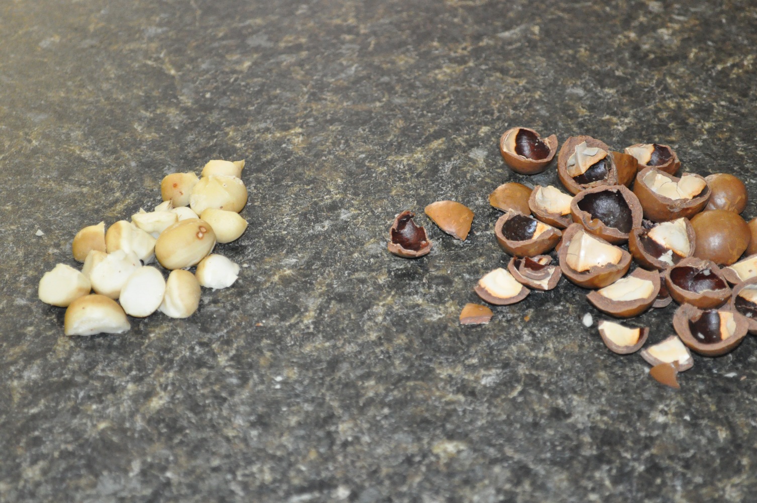 Macadamia Nuts — Adventures With The Sage