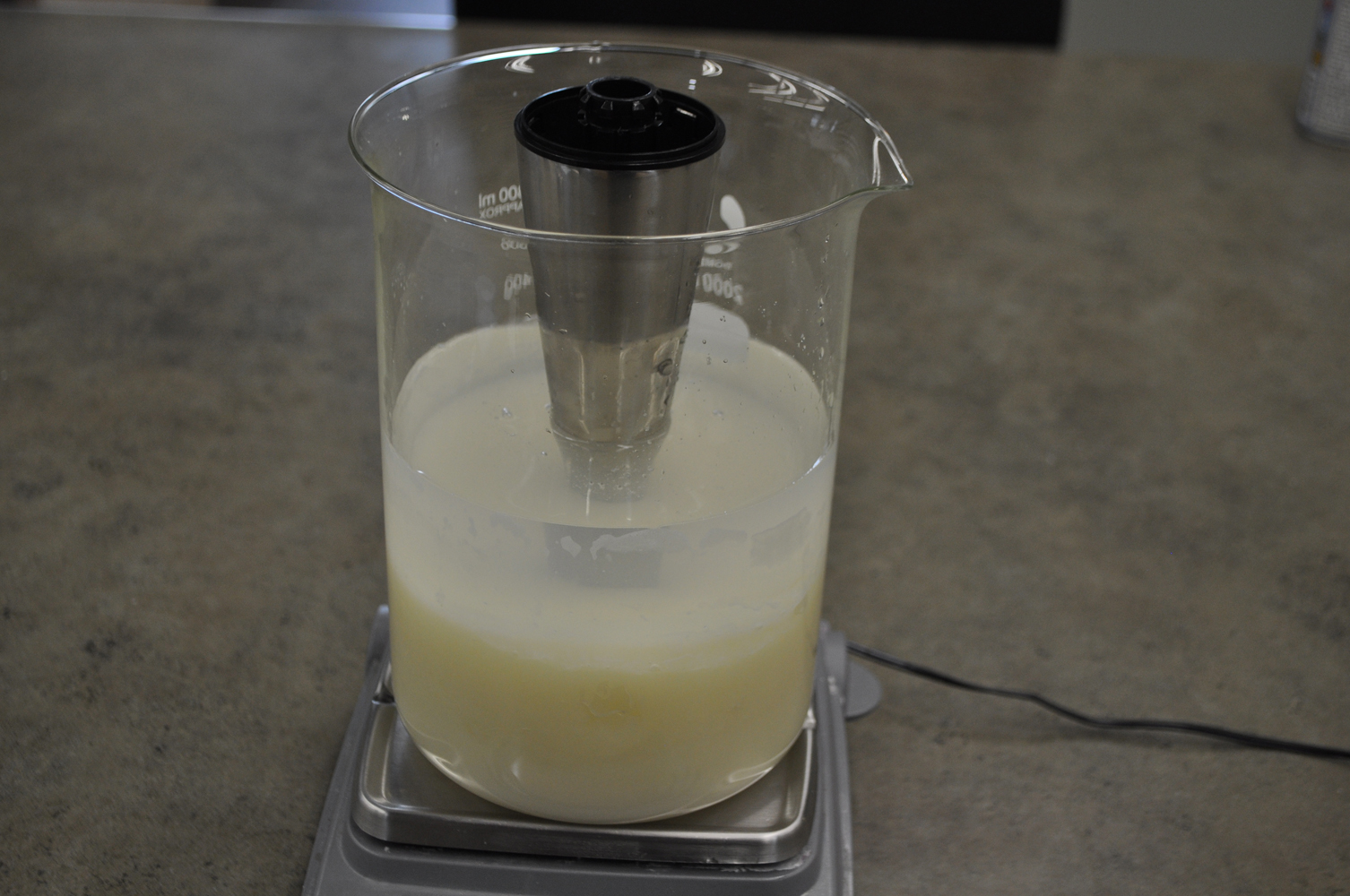 Quick Liquid Soap — Adventures With The Sage