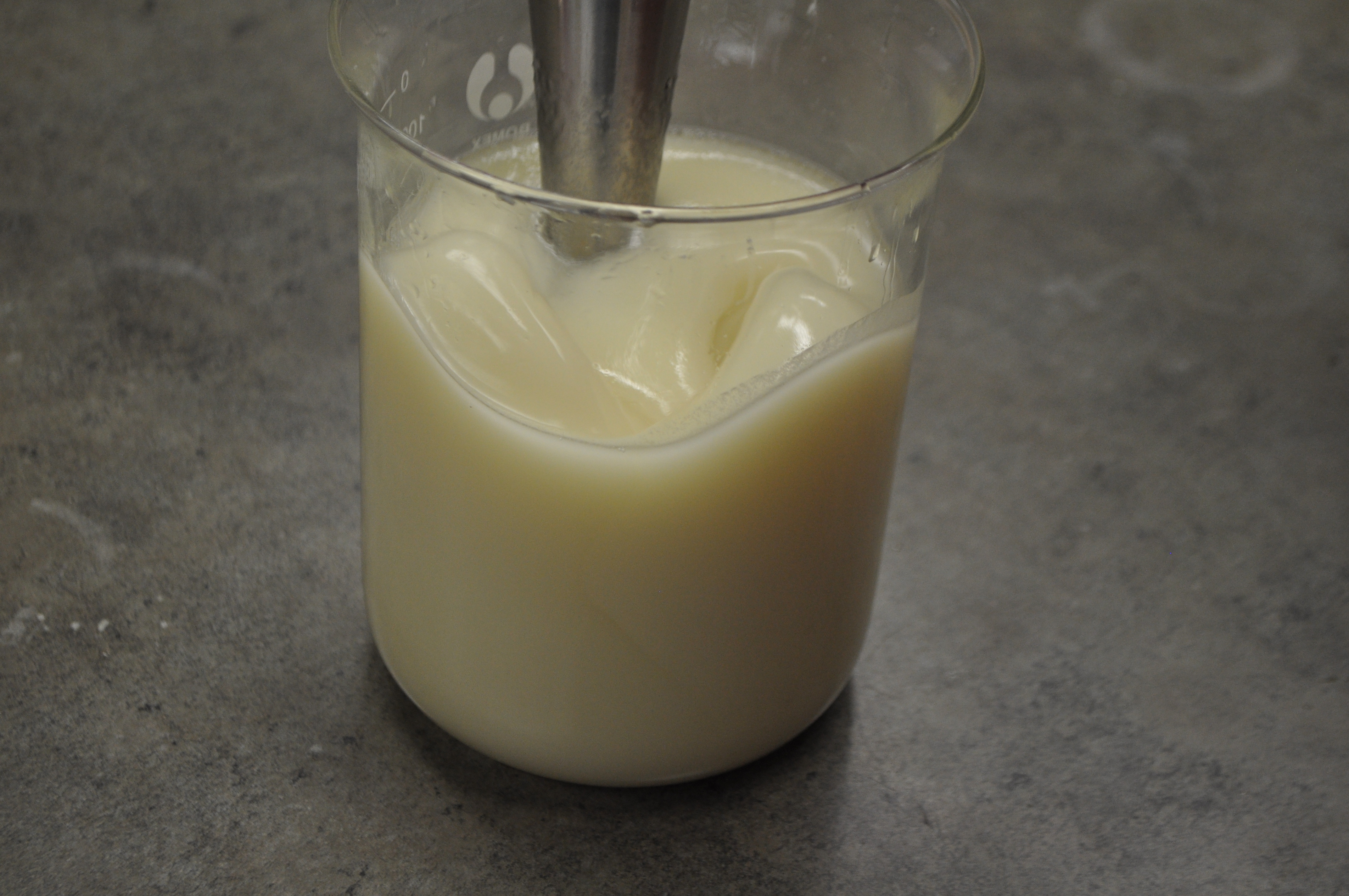 Introduction to Soapmaking Day 2 — Adventures With The Sage