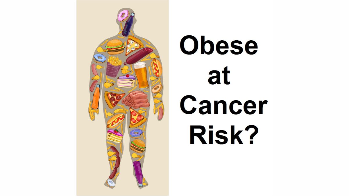 Can Obesity Increase the Risk of Cancer? World Obesity Day 2022