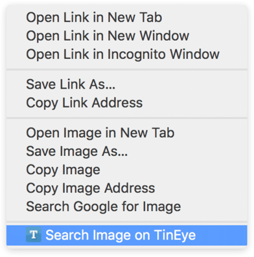 How to use TinEye to search for an image online TinEye Blog